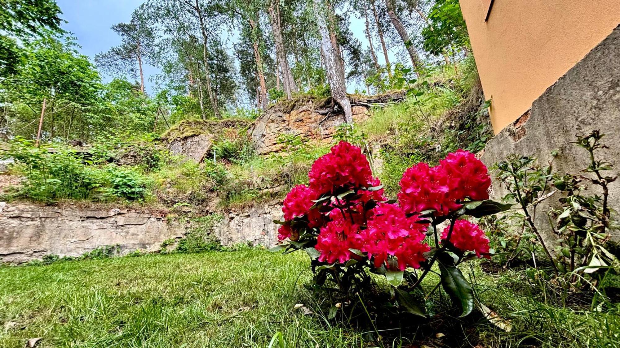 Remote Work Friendly Zahradni Apartman U Jezera Staré Splavy Exterior foto